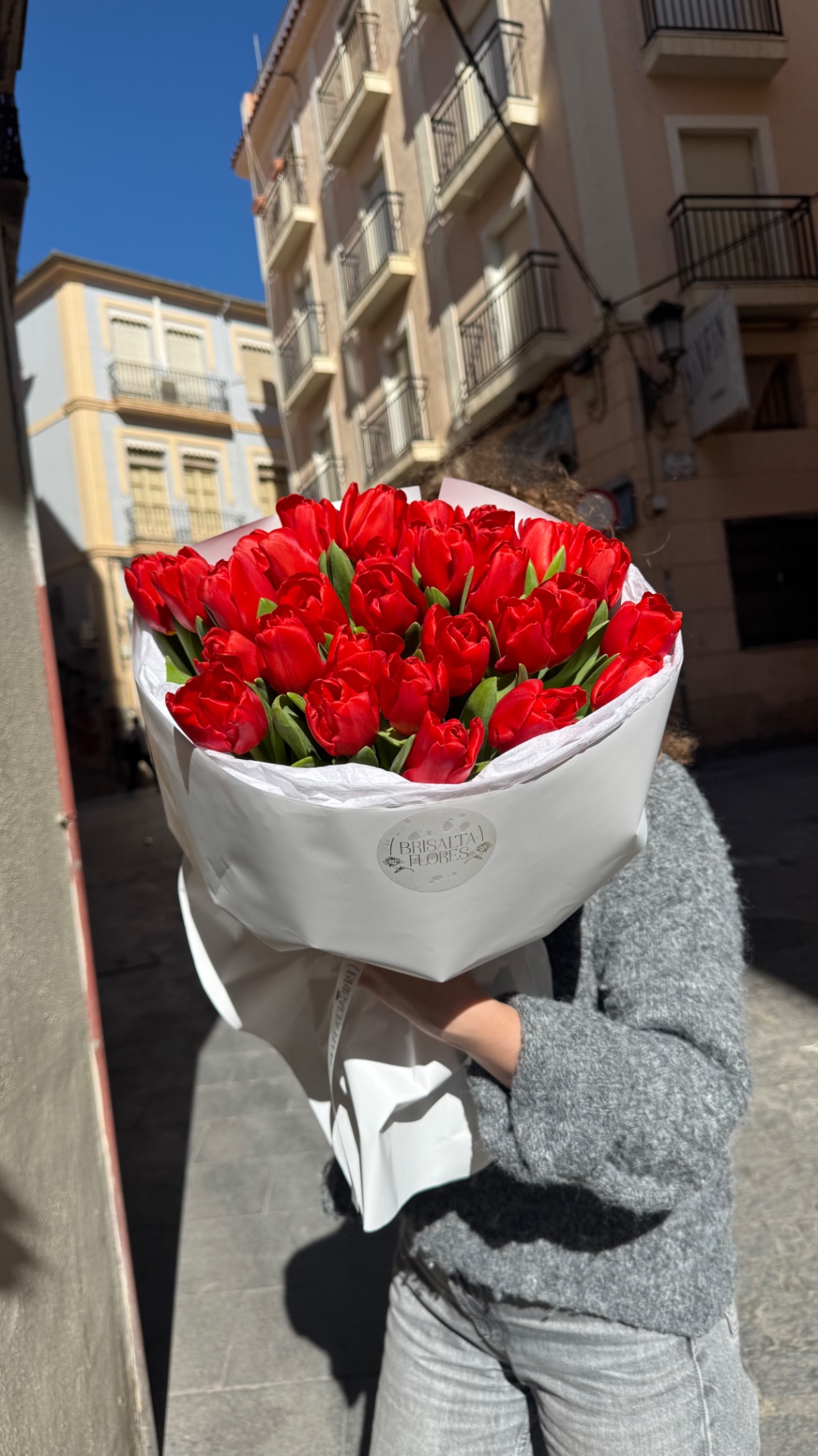 Tulipanes Rojos