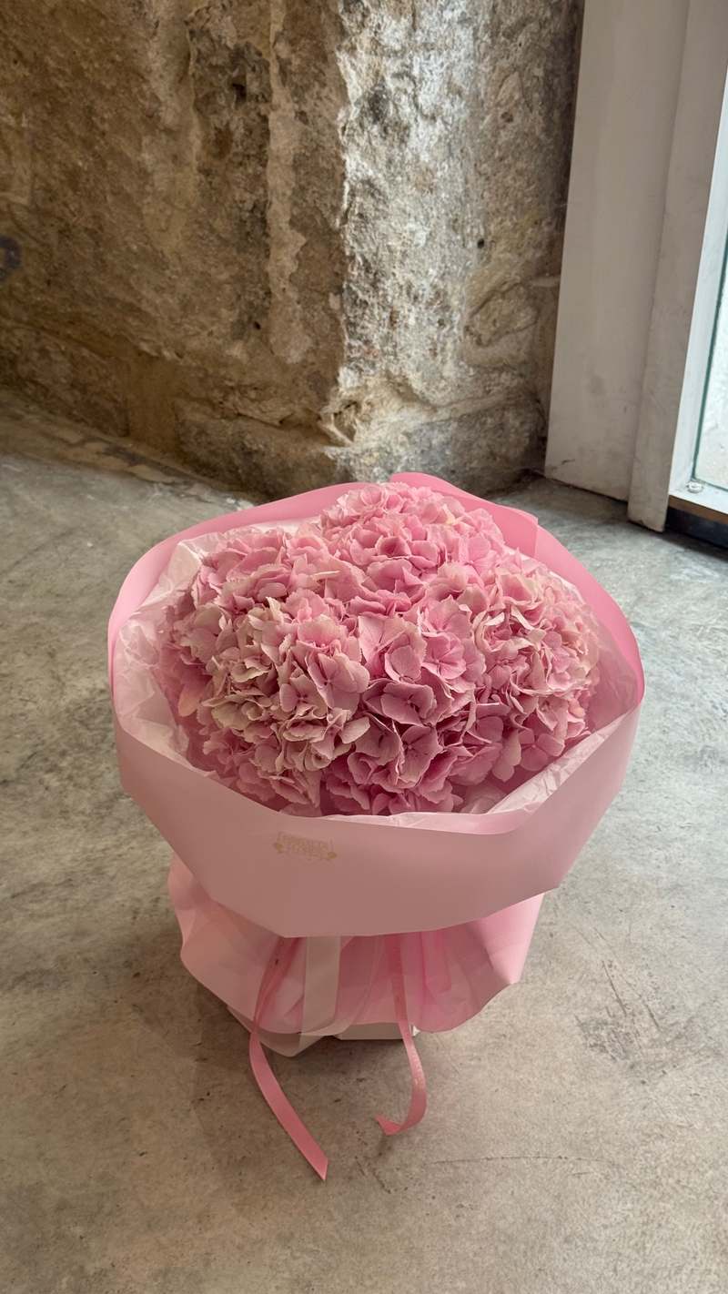 5 hortensias 1