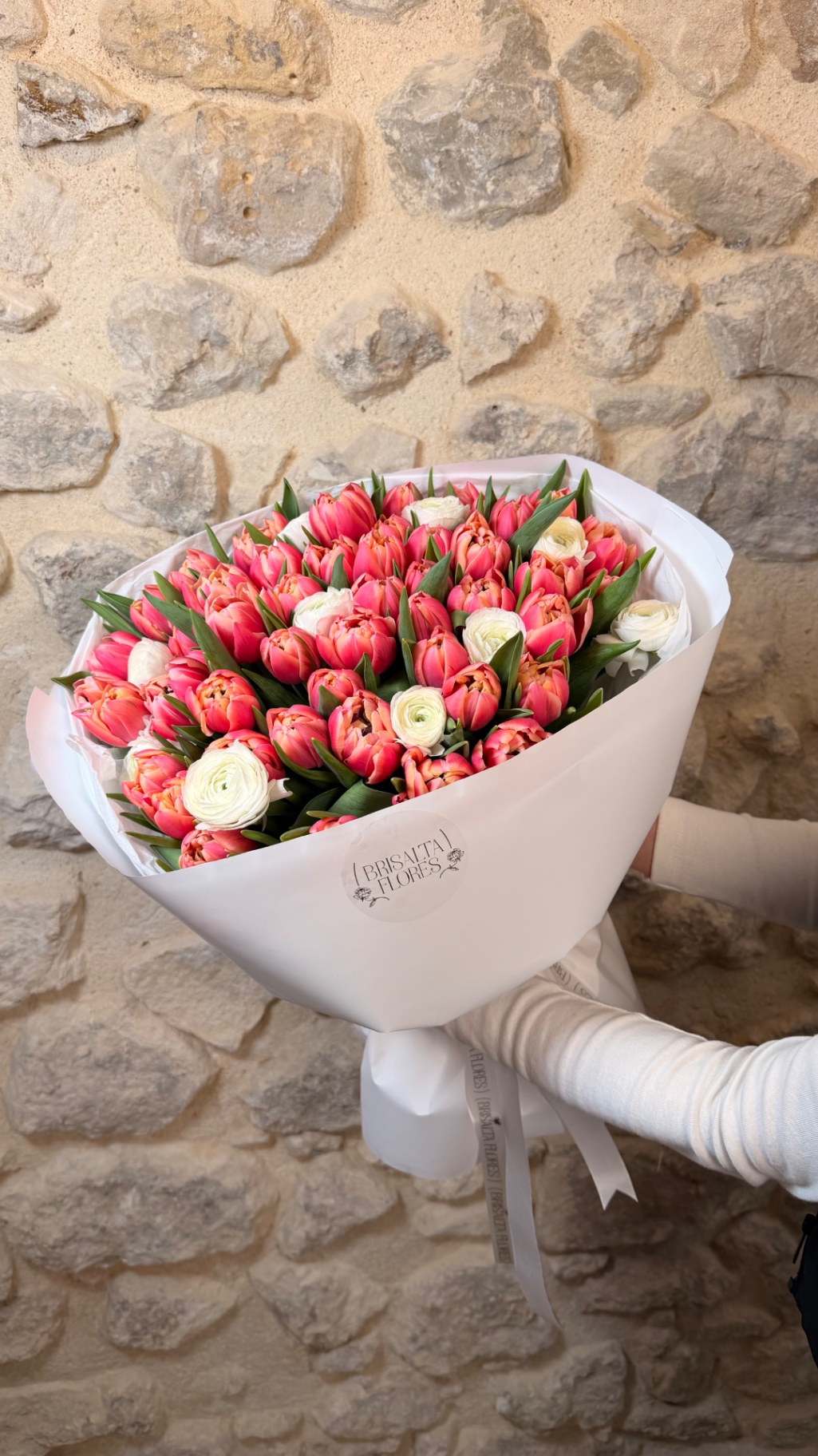 Primavera Coral