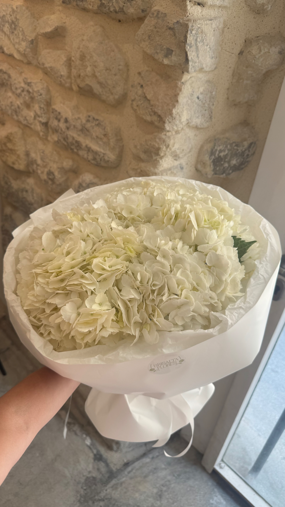 5 hortensias 2