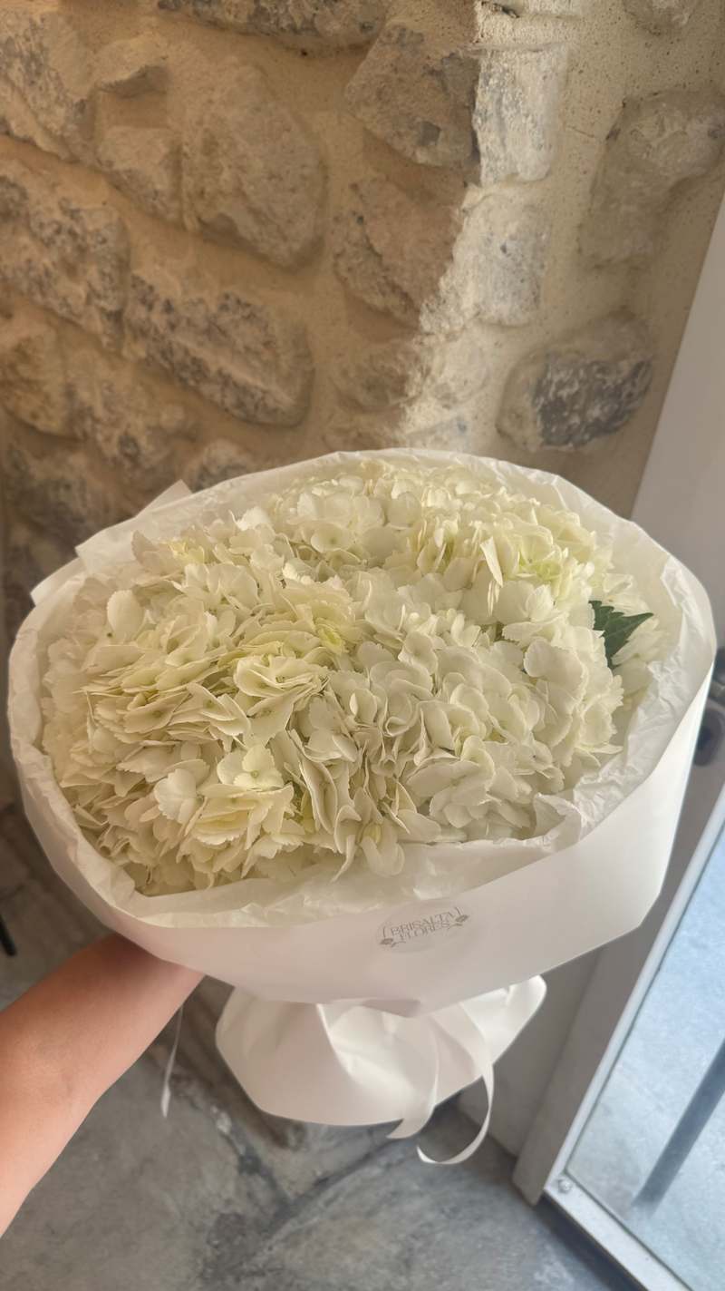5 hortensias 2