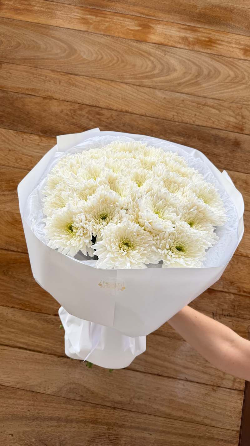 Crisantemo blanco 1