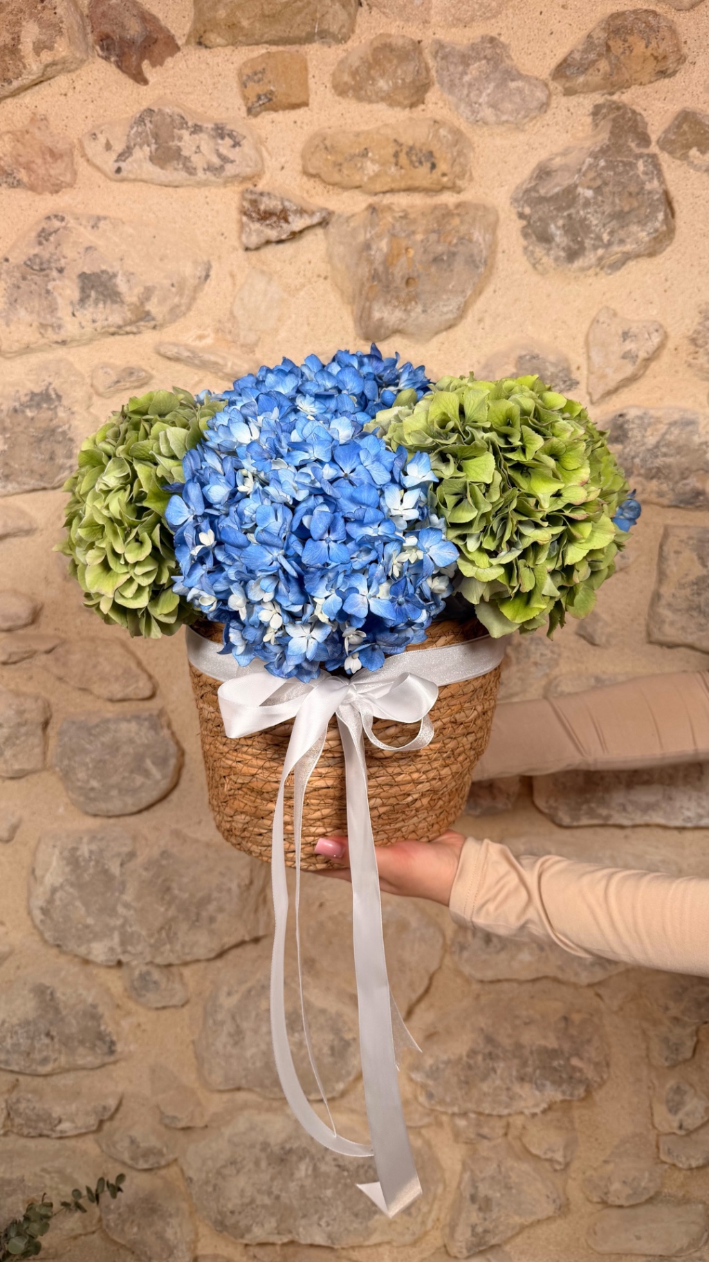 Hortensias Azules en Cesta