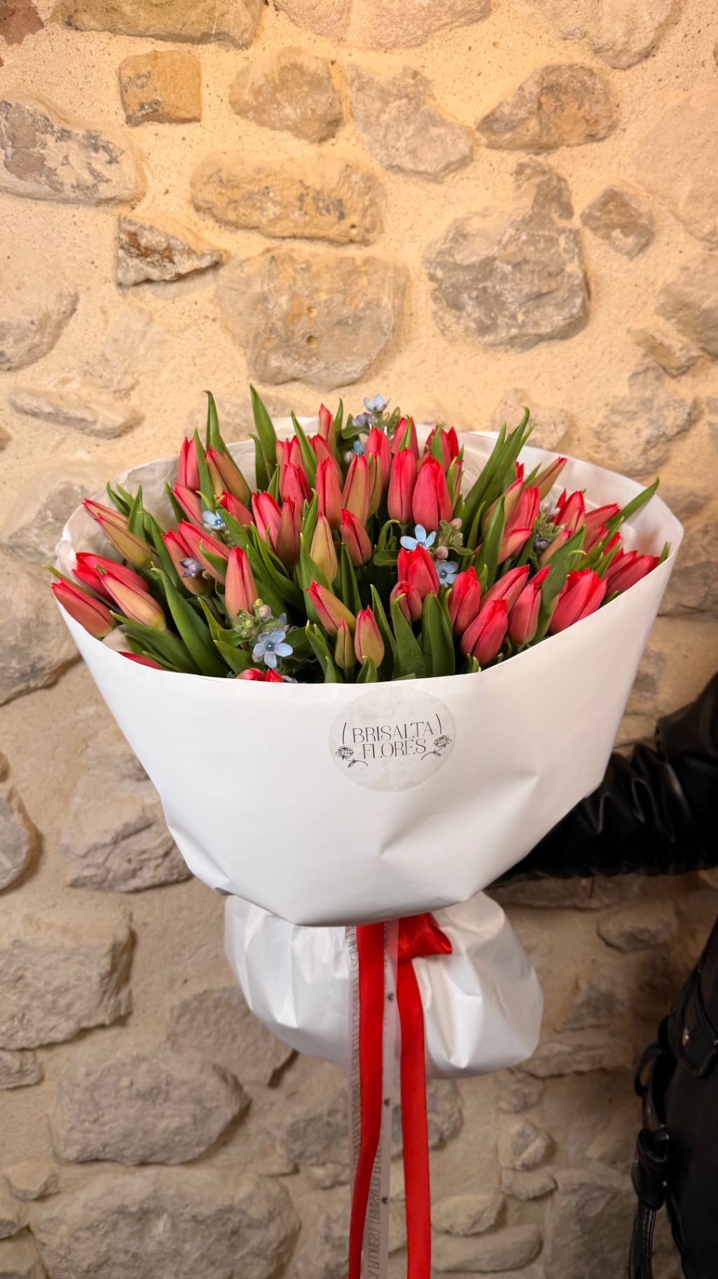 Tulipanes Rojos y Tweedia