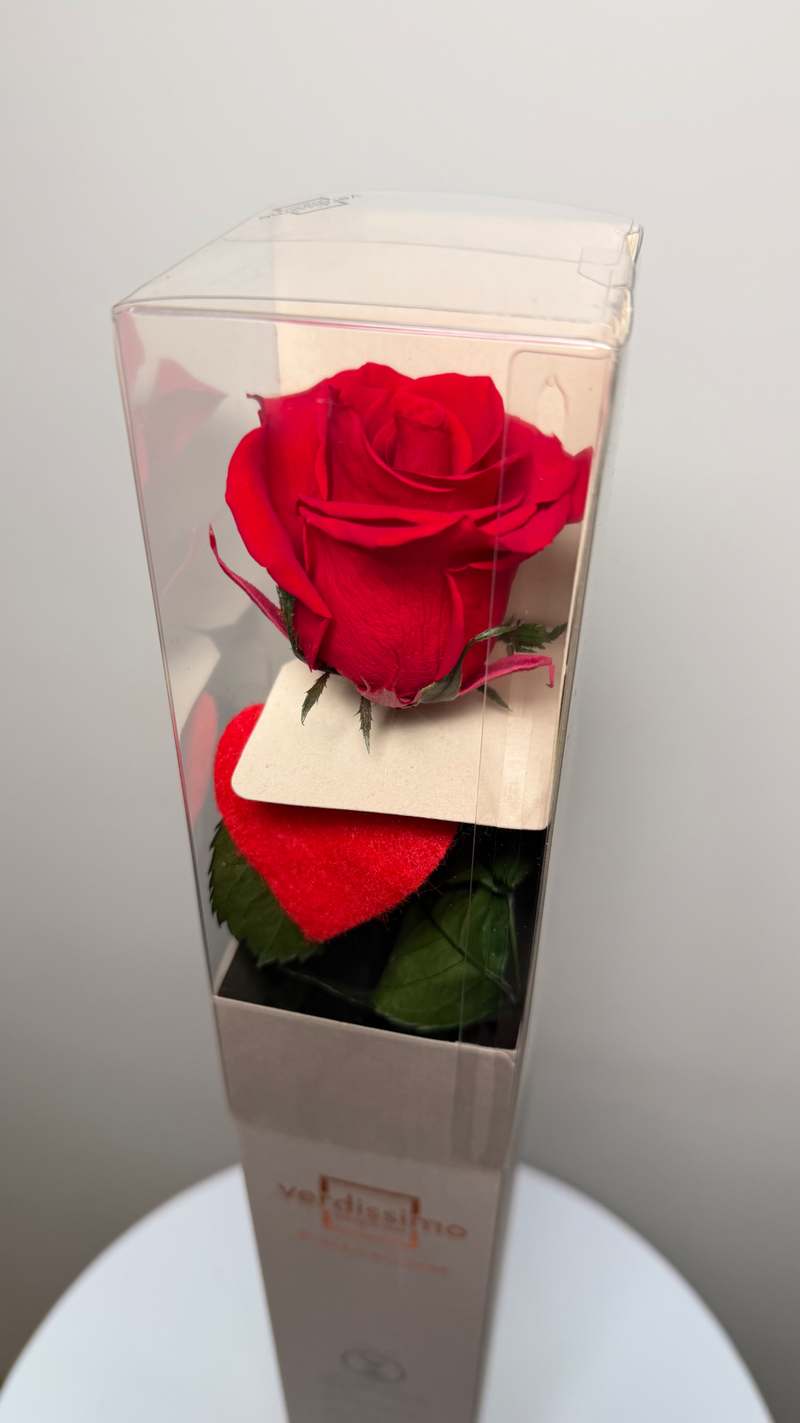 Rosa eterna con corazón 1