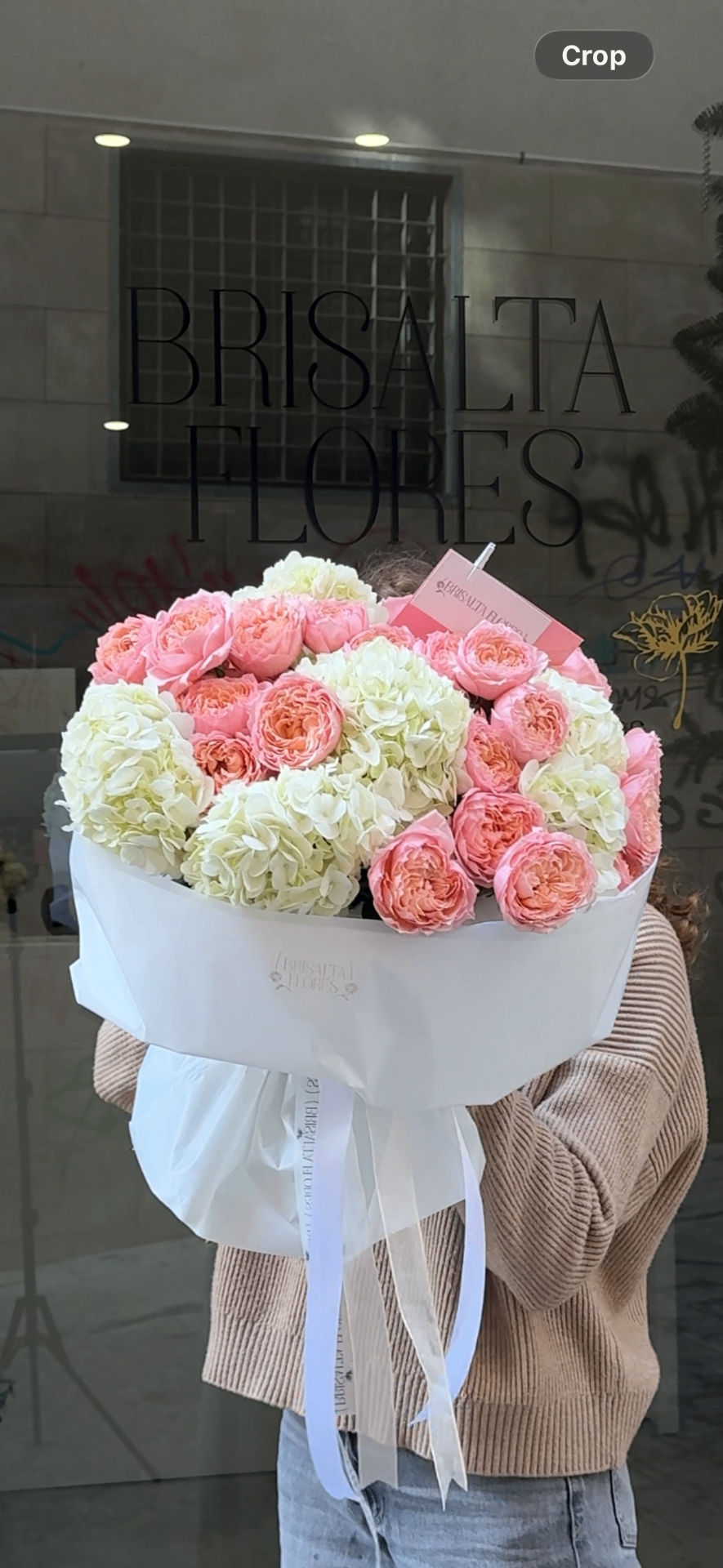 Nube rosa y blanca